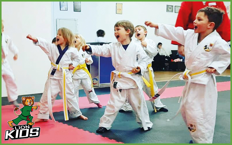 Kurs Lion Kids - Kinder Karate